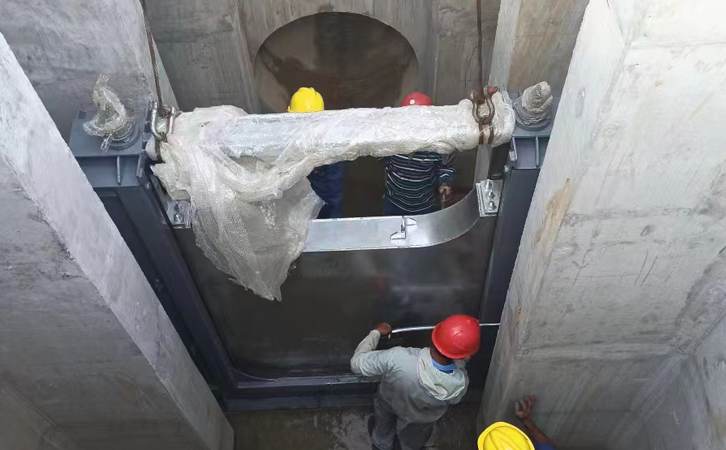 1740648732162131.jpg 62.jpg